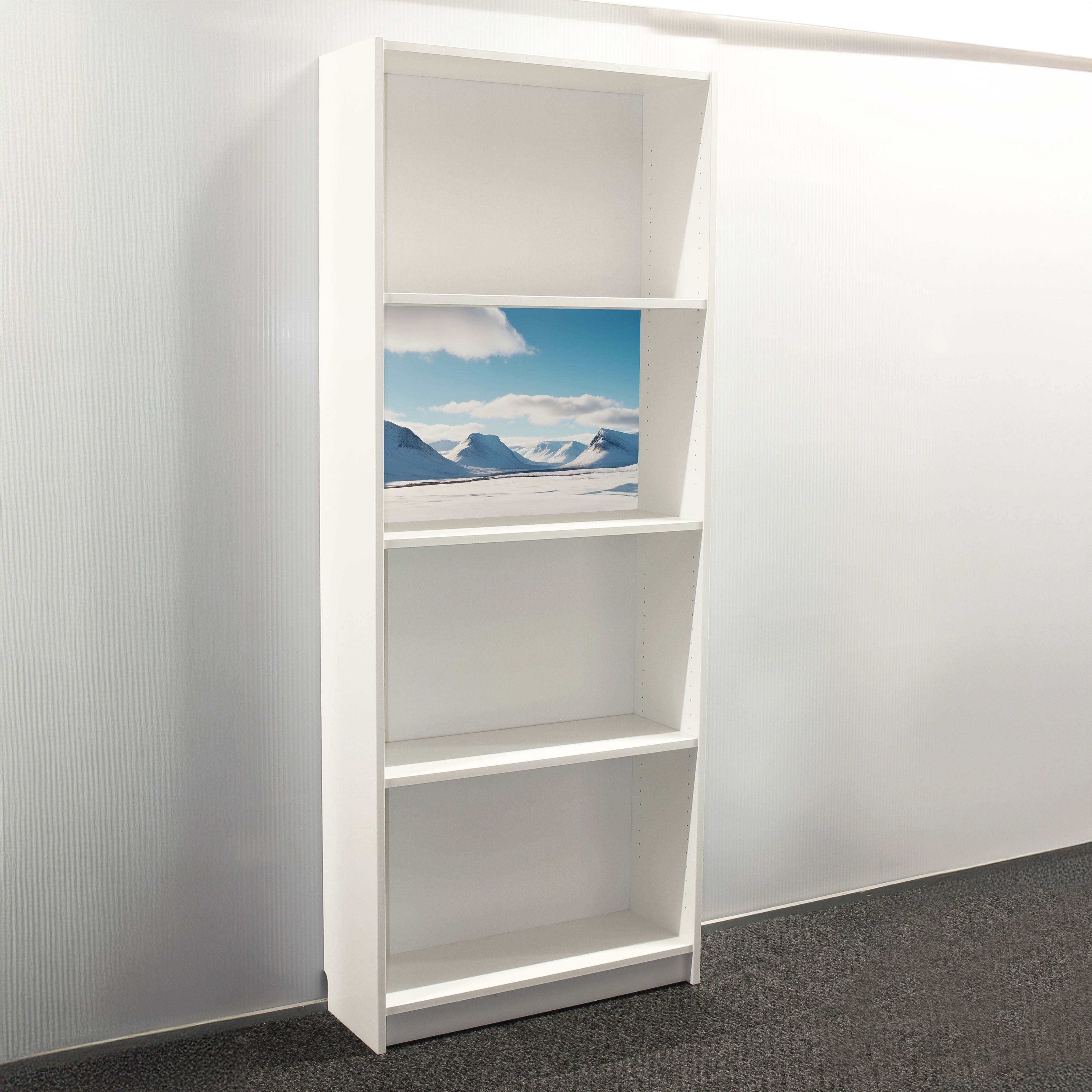 Ikea® Billy Bookcase Background - Frigid Frontier Billyback - 1/2