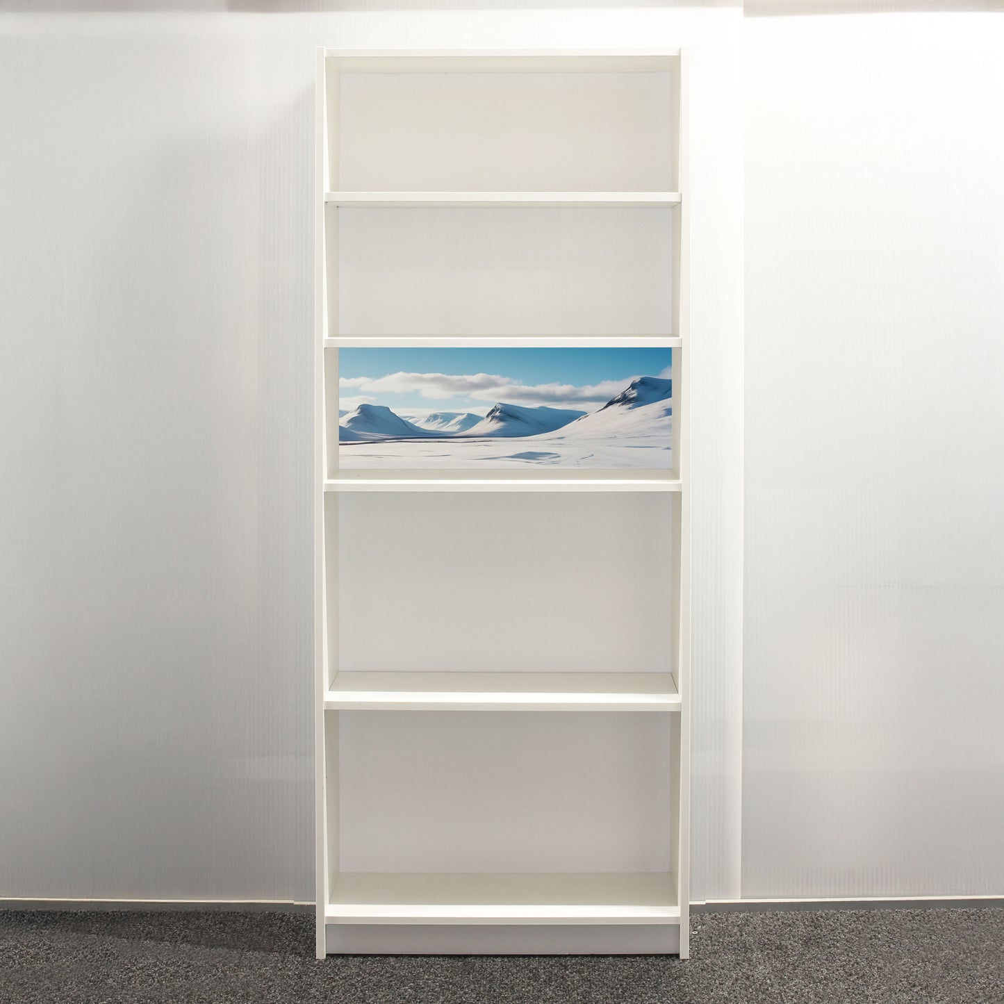 Frigid Frontier Billyback - 1/3 Height - Billy Bookcase Background