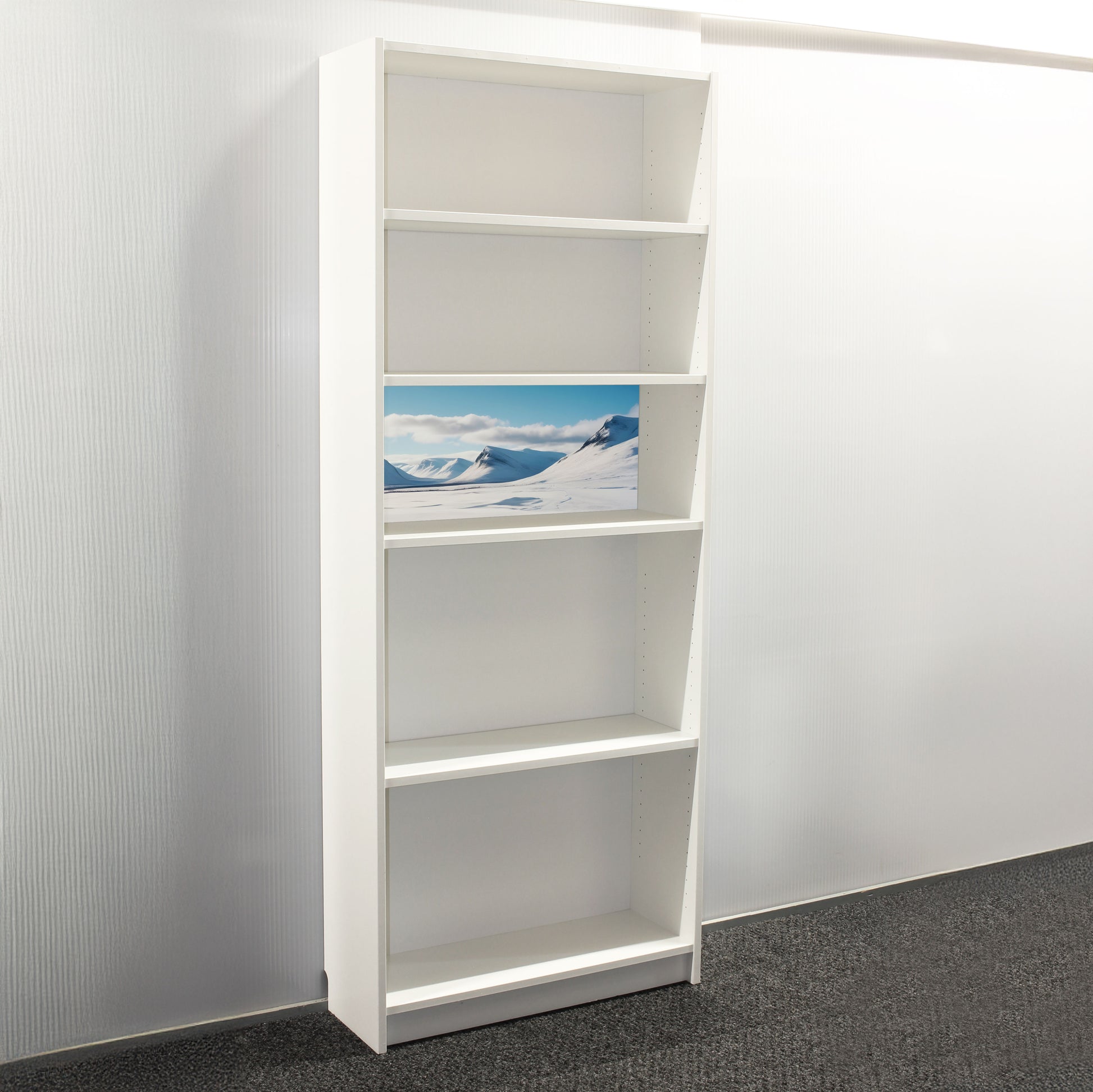 Frigid Frontier Billyback - 1/3 Height - Billy Bookcase Background